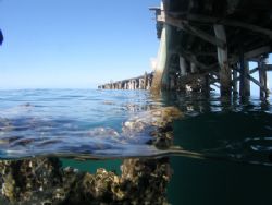 One Mile Jetty Carnarvon Western Australia 2006 by Brad Cox 